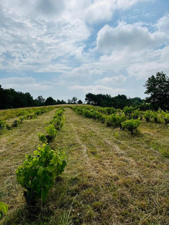 Gite Les Vignes De Pich Apartment Martisserre Exterior photo